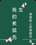 我的靈狐先生 封面