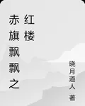 赤旗飄飄之紅樓 封面
