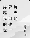 穿越我的世界，創建一片天地 封面
