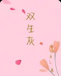 雙生灰 封面
