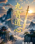 九霄道心 封面