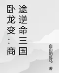 臥龍變：商途逆命三國 封面
