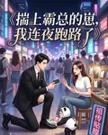揣上霸總的崽，我連夜跑路了 封面