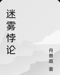 迷霧悖論 封面