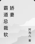 霸道總裁軟嬌妻 封面