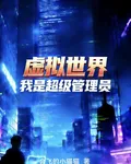 虛擬世界，我是超級管理員！ 封面