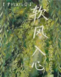 軟風入心 封面