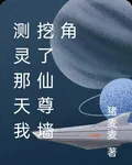 測靈那天我挖了仙尊牆角 封面