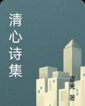 清心文集 封面