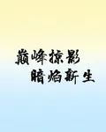 巔峯掠影：暗焰新生 封面