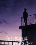 他的狐狸再也回不來了 封面