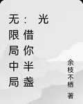無限局中局：借你半盞光 封面