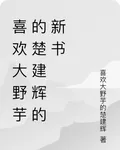 喜歡大野芋的楚建輝的新書 封面