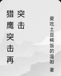 獵鷹突擊再突擊 封面