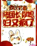 七零年代陸團長你媳婦又瘋了 封面
