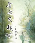 青雲又起時 封面