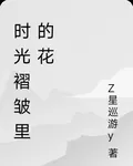 時光褶皺裏的花 封面