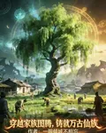 穿越家族圖騰，鑄就萬古仙族 封面