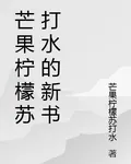 芒果檸檬蘇打水的新書 封面