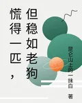 慌得一匹，但穩如老狗 封面