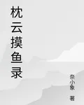 枕雲摸魚錄 封面