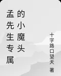 孟先生專屬的小魔頭 封面