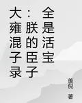 大雍混子錄：朕的臣子全是活寶 封面