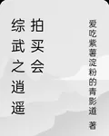 綜武之逍遙拍買會 封面