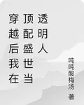 穿越後我在頂配盛世當透明人 封面