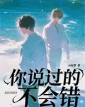 你說過的不會錯 封面