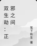 雙生劫：正邪之間 封面