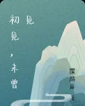 初見，未曾見 封面