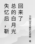 失憶後，靳總的白月光回來了 封面