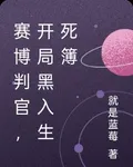 賽博判官，開局黑入生死簿 封面