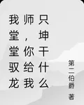 我堂堂馭龍師，你給我只坤幹什麼 封面