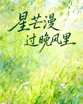 星芒漫過晚風裏 封面