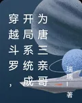 穿越鬥羅，開局系統成爲唐三親哥 封面