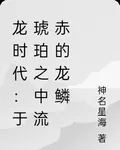 龍時代：於琥珀之中流赤的龍鱗 封面