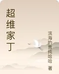 超維家丁 封面