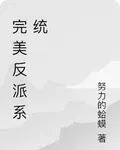 完美反派系統 封面