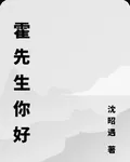 霍先生你好 封面