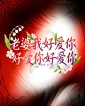老婆我好愛你好愛你好愛你 封面