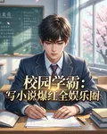 校園學霸：寫小說爆紅全娛樂圈 封面