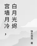 宮牆月冷，白月光燼 封面