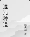 混沌種道 封面