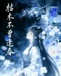 枯木也不曾逢春 封面