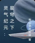 靈氣紀元：星穹之下 封面