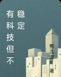 有科技但不穩定 封面
