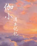 伽小消失記憶 封面