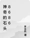 神奇的石頭8686 封面